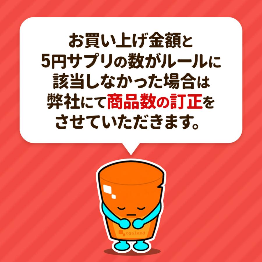 選べる5円サプリ 豪華になってリニューアル たっぷり約1ヶ月分 10種から選べる サプリメント サプリ オメガ3 ビタミン 亜鉛 ヘム鉄 黒にんにく サラシア | ogaland | 23