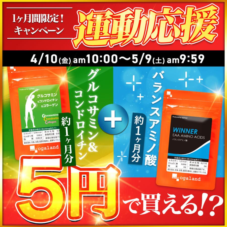 選べる5円 サプリ たっぷり約1ヶ月分 選べる サプリメント 5000円毎のお買い物 オメガ3 ブルーベリー はとむぎエキス ローズサプリ Lカルニチン ポイント利用 | ogaland | 08