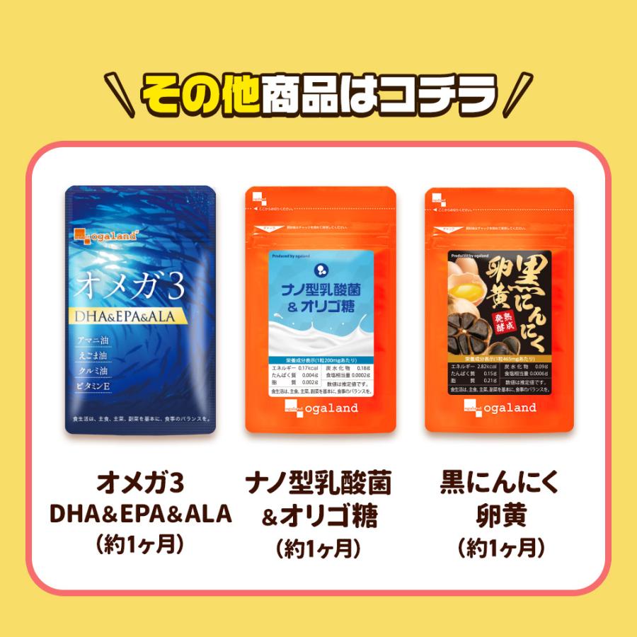 選べる5円サプリ 豪華になってリニューアル たっぷり約1ヶ月分 10種から選べる サプリメント サプリ オメガ3 ビタミン 亜鉛 ヘム鉄 黒にんにく サラシア | ogaland | 16