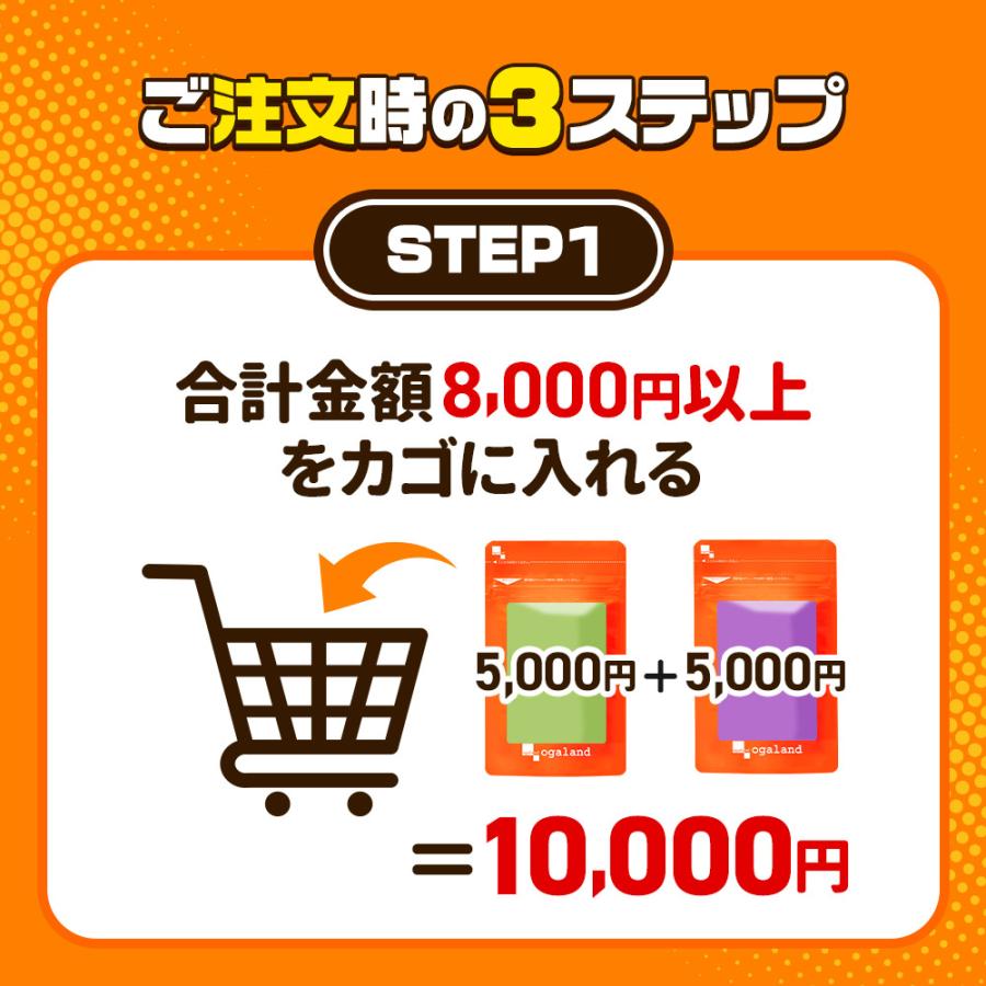 選べる5円サプリ 豪華になってリニューアル たっぷり約1ヶ月分 10種から選べる サプリメント サプリ オメガ3 ビタミン 亜鉛 ヘム鉄 黒にんにく サラシア | ogaland | 18