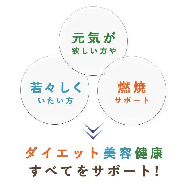 L-オルニチン（約1ヶ月分）サプリメント サプリ ダイエット サポート アミノ酸 健康 お酒が好きな方に アルギニン リジン しじみで有名 美容 ポイント利用 | ogaland | 11