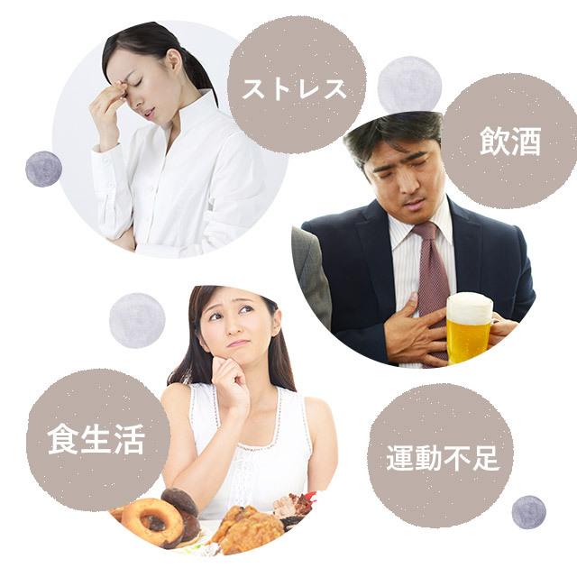 L-オルニチン（約1ヶ月分）サプリメント サプリ ダイエット サポート アミノ酸 健康 お酒が好きな方に アルギニン リジン しじみで有名 美容 ポイント利用 | ogaland | 06