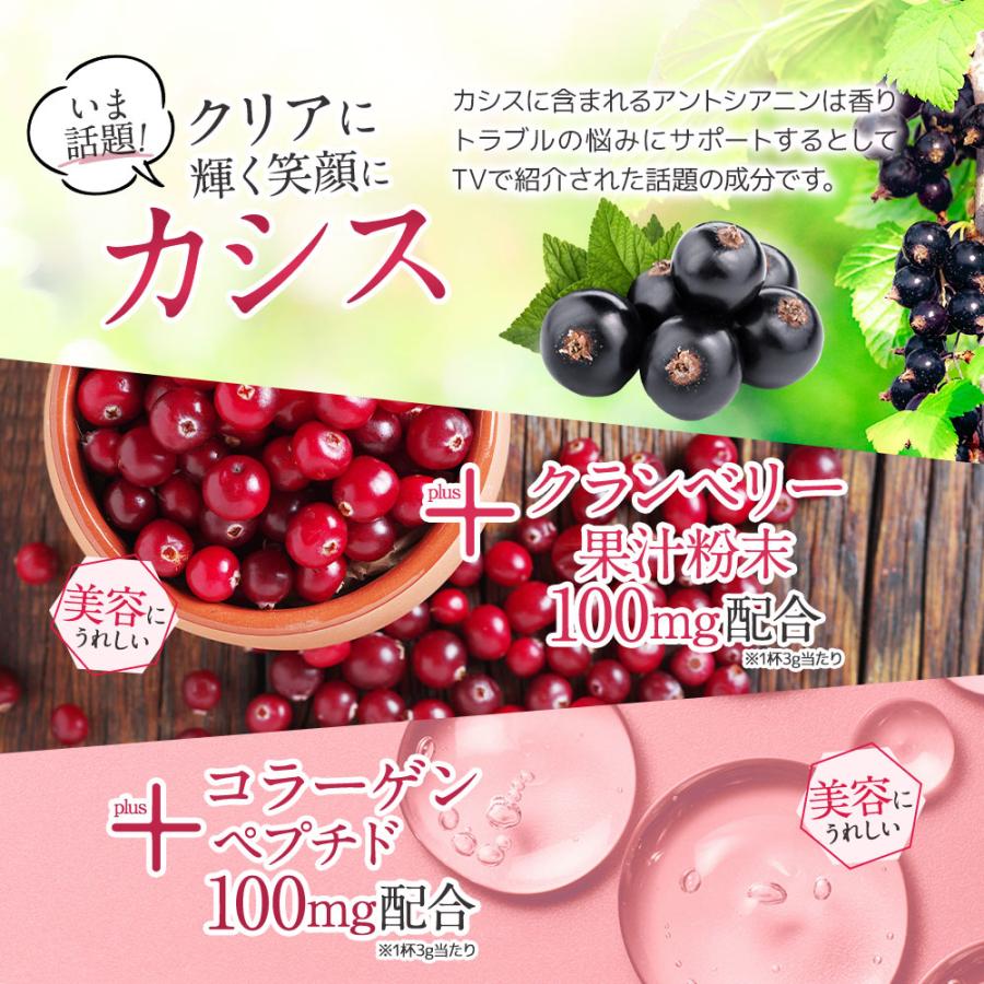 酵素ドリンク プラセンタ plus+（80g）（6個セット）馬プラセンタ 純度 100% 粉末 ベリー&カシス味 ザクロ 甘味料 乳酸菌100億個 黒酢もろみ末 ポイント利用_12