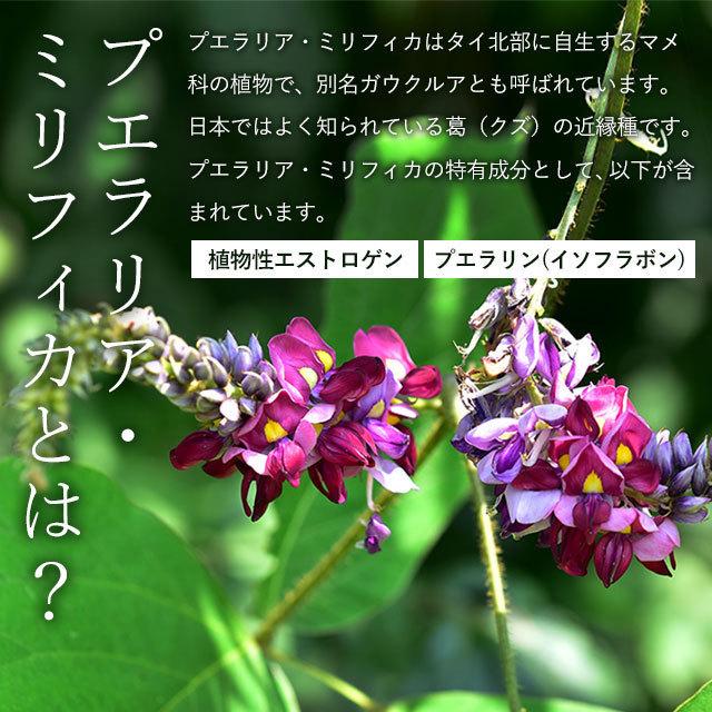 プエラリアミリフィカ （360粒） サプリメント 女性 特有のお悩みに サプリ プエラリア イソフラボン 美容 プエラリン 植物性 エストロゲン ポイント利用 | ogaland | 08