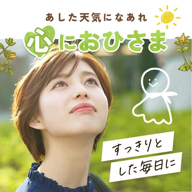 ogaland セントジョーンズワート (約1ヶ月分) GABA ギャバ ogaland セントジョーンズワート (約1ヶ月分) GABA ギャバ