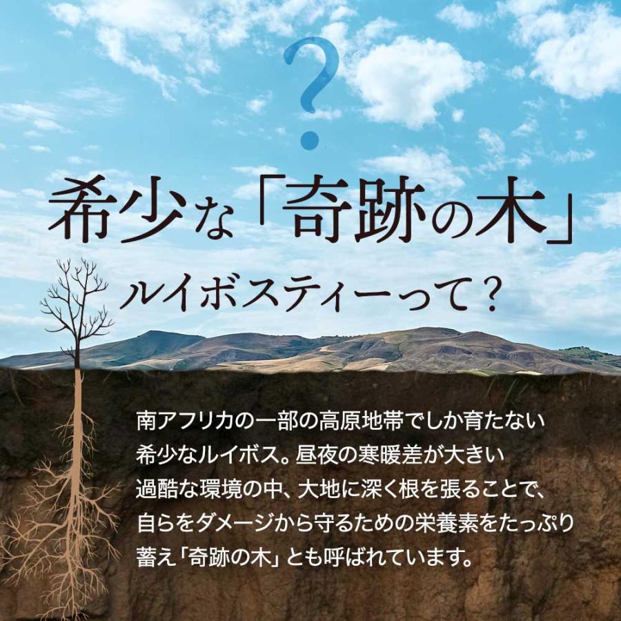 ルイボスティー ティーバッグ （80包）3個セット 美容 健康 最上級グレード茶葉 クラシック 有機JAS ティー ポリフェノール ミネラル ポイント利用 | ogaland | 08