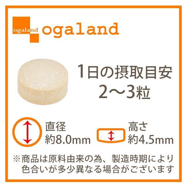 ✨【1カートン１０缶】ロイヤルミント　ローヤルゼリー　栄養補助食品✨ imgrc0075141612.jpg