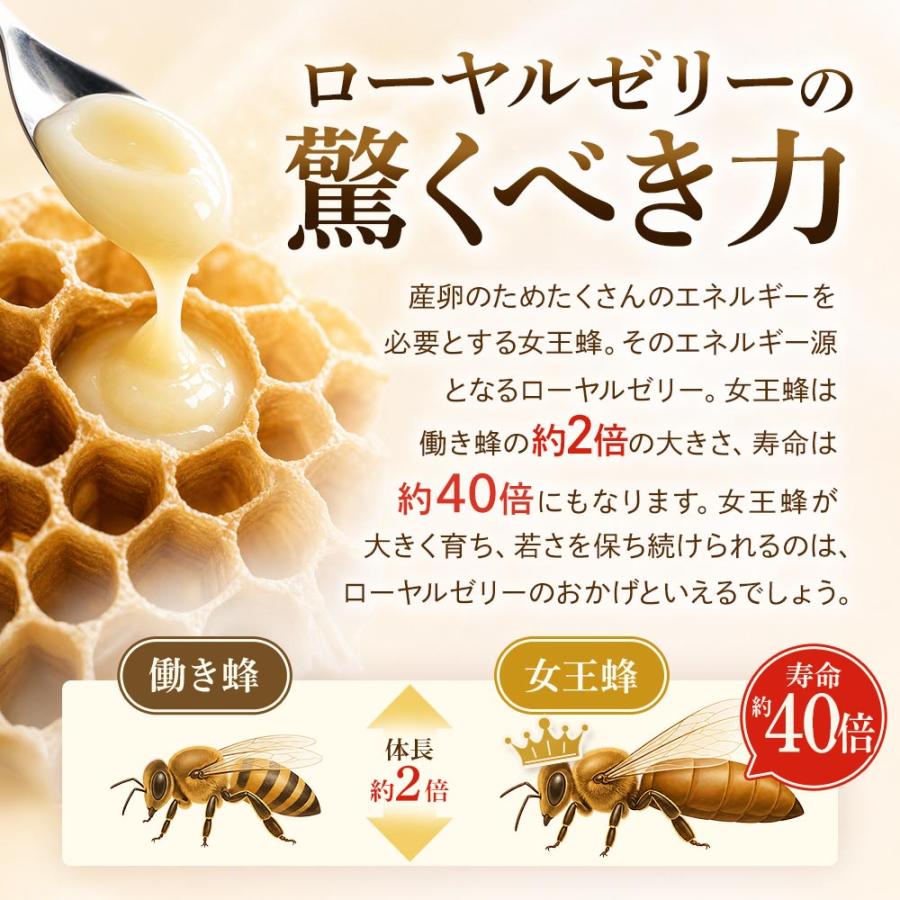 ローヤルゼリー サプリ ローヤルゼリープレミアム（約1ヶ月分）サプリメント ローヤルゼリーペプチド デセン酸 健康 美容 ポイント利用 | ogaland | 12