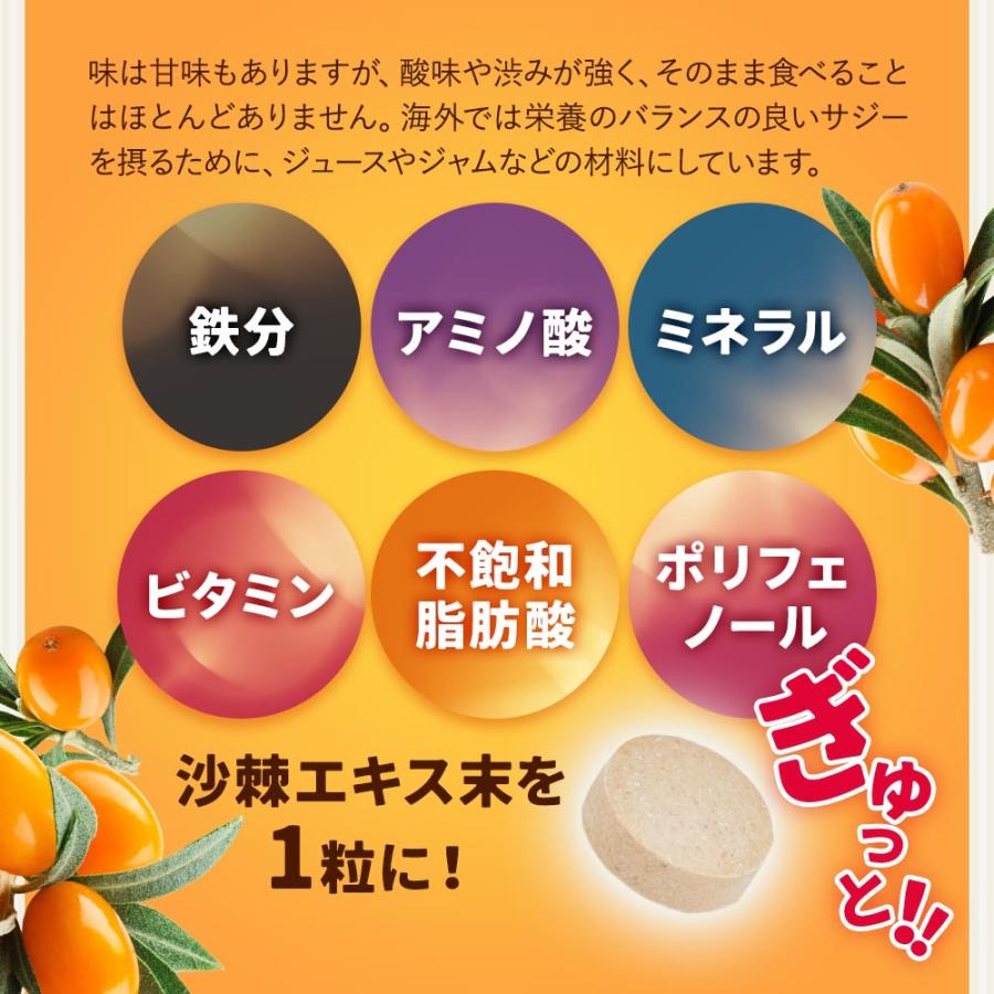 ogaland（オーガランド） サジー 沙棘サプリ （約1ヶ月分）サプリ 不