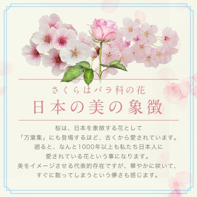 ogaland（オーガランド） アマニ油 さくらサプリ （約6ヶ月分