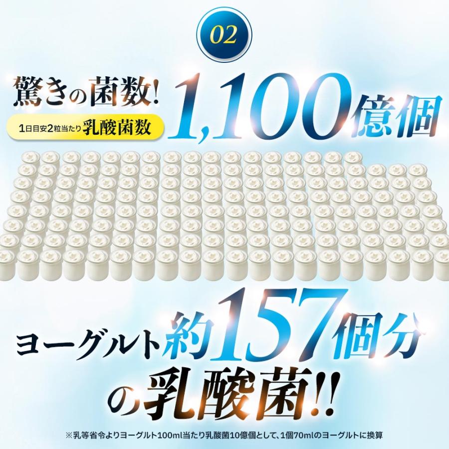 矛と盾乳酸菌（約3ヶ月分）善玉乳酸菌 にゅうさんきん オリゴ糖 ビタミン 水溶性 食物繊維 健康 ダイエット サプリ シールド レジスト乳酸菌 (R) ポイント利用 | ogaland | 11