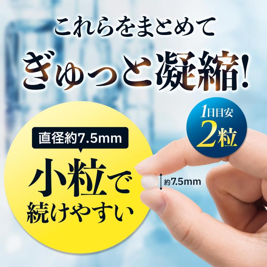 矛と盾乳酸菌（約3ヶ月分）善玉乳酸菌 にゅうさんきん オリゴ糖 ビタミン 水溶性 食物繊維 健康 ダイエット サプリ シールド レジスト乳酸菌 (R) ポイント利用 | ogaland | 13