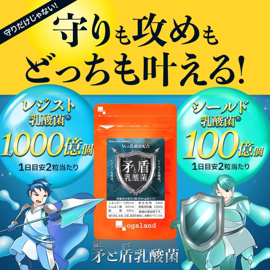 矛と盾乳酸菌（約6ヶ月分）善玉乳酸菌 にゅうさんきん オリゴ糖 ビタミン 水溶性 食物繊維 健康 ダイエット サプリ ポイント利用 | ogaland | 06