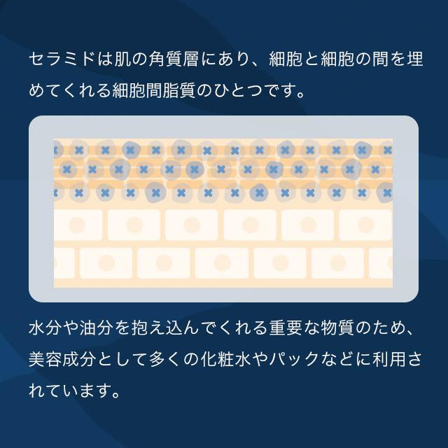 ライスセラミド （約1ヶ月分） サプリメント 美容 サプリ 乾燥 する 季節 は 加湿器 と一緒に 潤い ケア コラーゲン ペプチド ビタミン シルク エイジングケア｜oga｜08