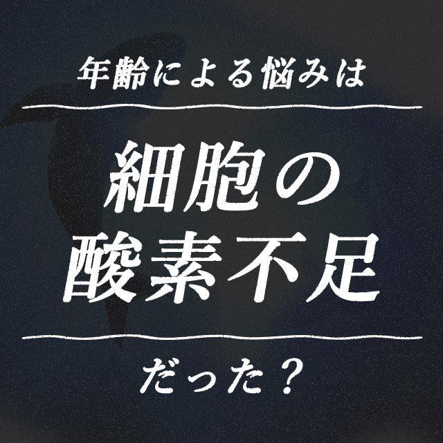 深海鮫エキス （約3ヶ月分） EPA DHA オメガ3 サプリ スクワラン オイル スクアレン 純度 99% スクワレン 肝油 カプセル サプリメント 深海 サメ 不飽和脂肪酸｜oga｜09