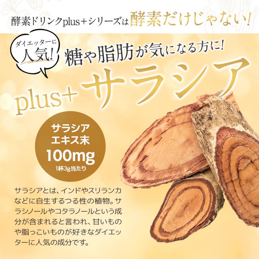 酵素ドリンク サラシア plus＋（80g）(6個セット)ファスティング ビタミンC 乳酸菌 置き換え ダイエット ミネラル ブドウ糖 クエン酸 ポイント利用 | ogaland | 10