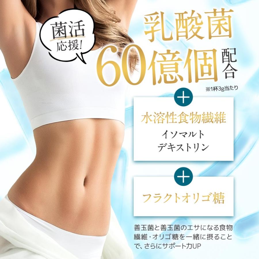 酵素ドリンク サラシア plus＋（80g）(6個セット)ファスティング ビタミンC 乳酸菌 置き換え ダイエット ミネラル ブドウ糖 クエン酸 ポイント利用 | ogaland | 11