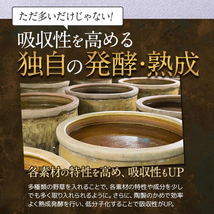 酵素ドリンク サラシア plus＋（80g）(6個セット)ファスティング ビタミンC 乳酸菌 置き換え ダイエット ミネラル ブドウ糖 クエン酸 ポイント利用 | ogaland | 08