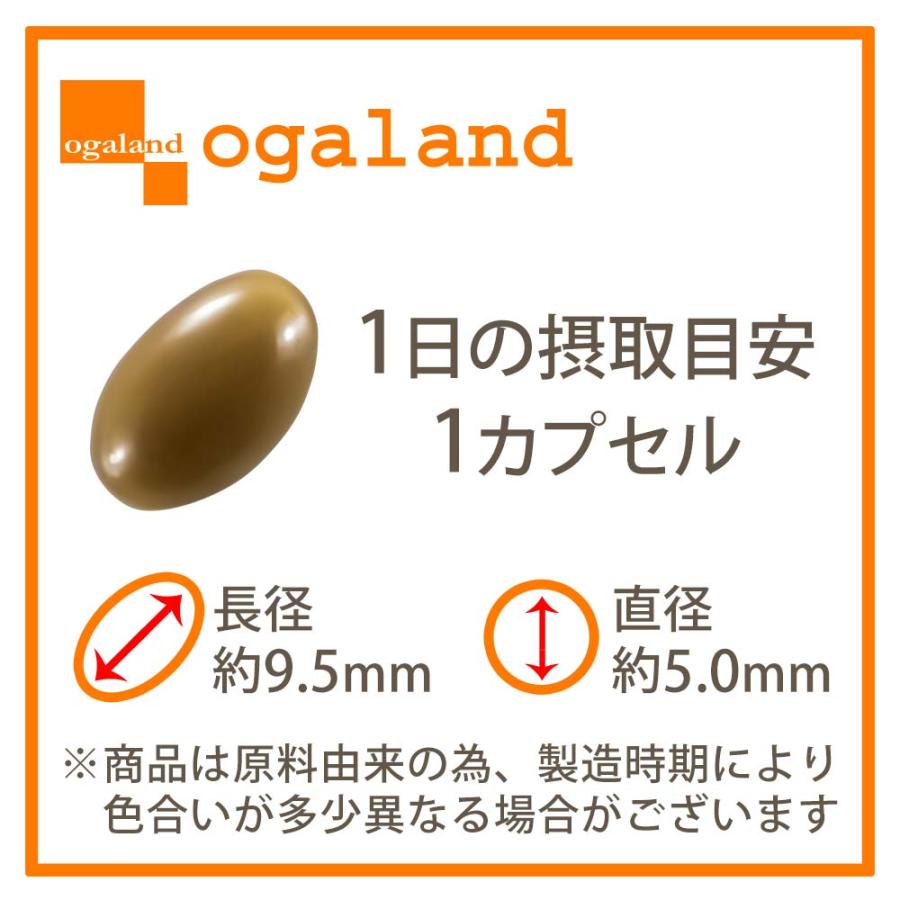 ogaland 花鼻快楽 (約12ヶ月分) 酢酸菌 花粉 ホコリ ハウス ogaland 花鼻快楽 (約12ヶ月分) 酢酸菌 花粉 ホコリ ハウス