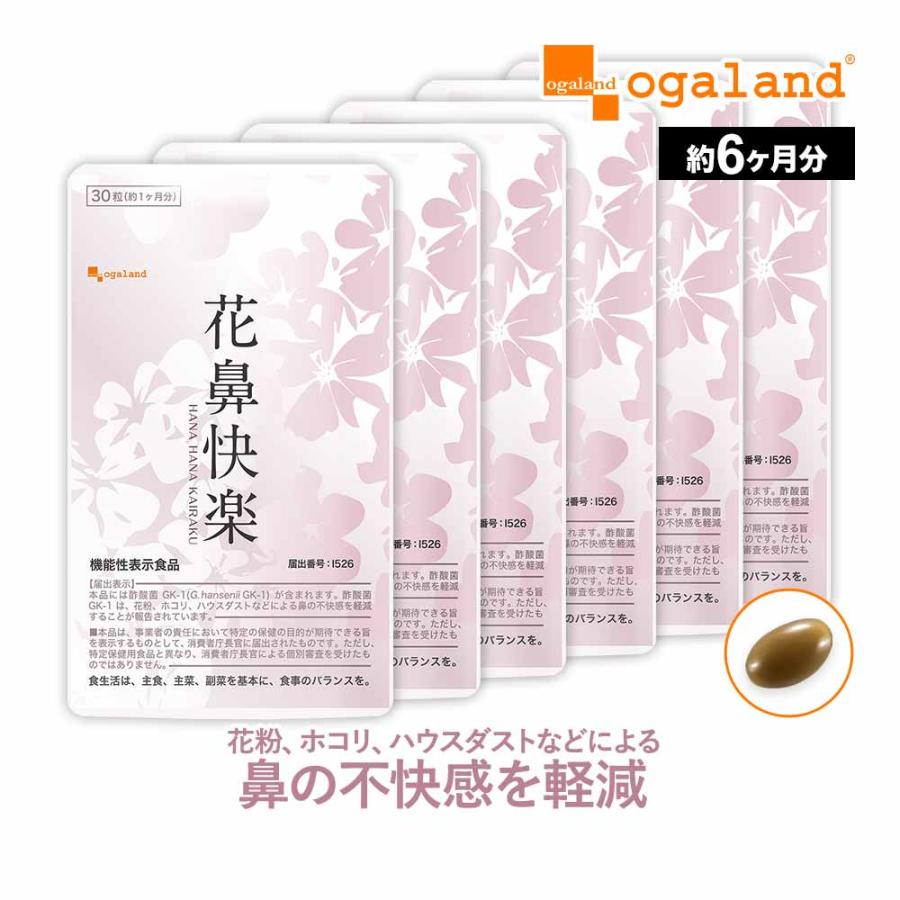 リ・ソビーム 花鼻 花粉対策 re・蘇 162粒 まとめ売り リ・ソビーム 花鼻 花粉対策 re・蘇 162粒 まとめ売り