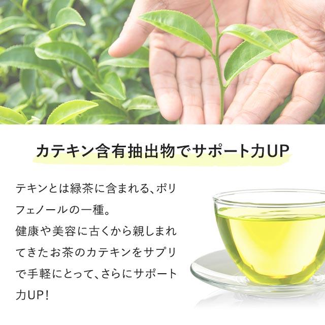 シャンピニオンエチケット （約1ヶ月分） カテキン 難消化性デキストリン サプリ サプリメント 食物繊維 デオアタック(R) ポイント利用 | ogaland | 11