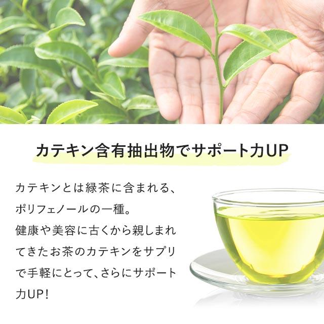 シャンピニオンエチケット （約1ヶ月分） カテキン 難消化性デキストリン サプリ サプリメント 食物繊維 デオアタック(R) ポイント利用 | ogaland | 11
