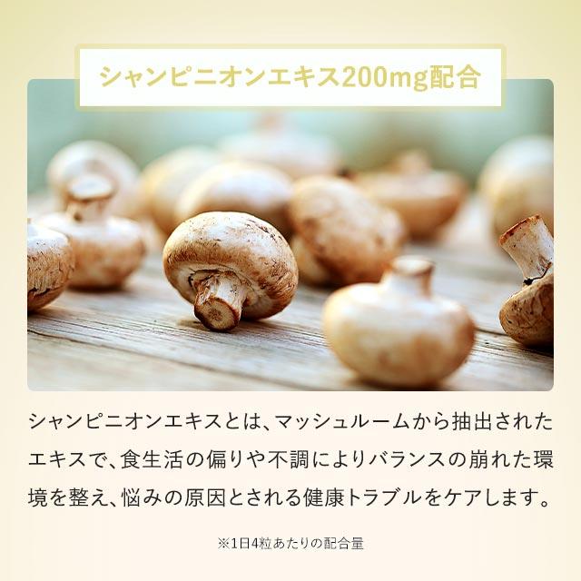シャンピニオンエチケット （約1ヶ月分） カテキン 難消化性デキストリン サプリ サプリメント 食物繊維 デオアタック(R) ポイント利用 | ogaland | 07