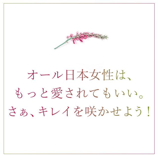 プエラリアミリフィカ （180粒） サプリメント 女性 エストロゲン イソフラボン サプリ 女性 特有のお悩みに プエラリア 美容 プエラリン ポイント利用 | ogaland | 16
