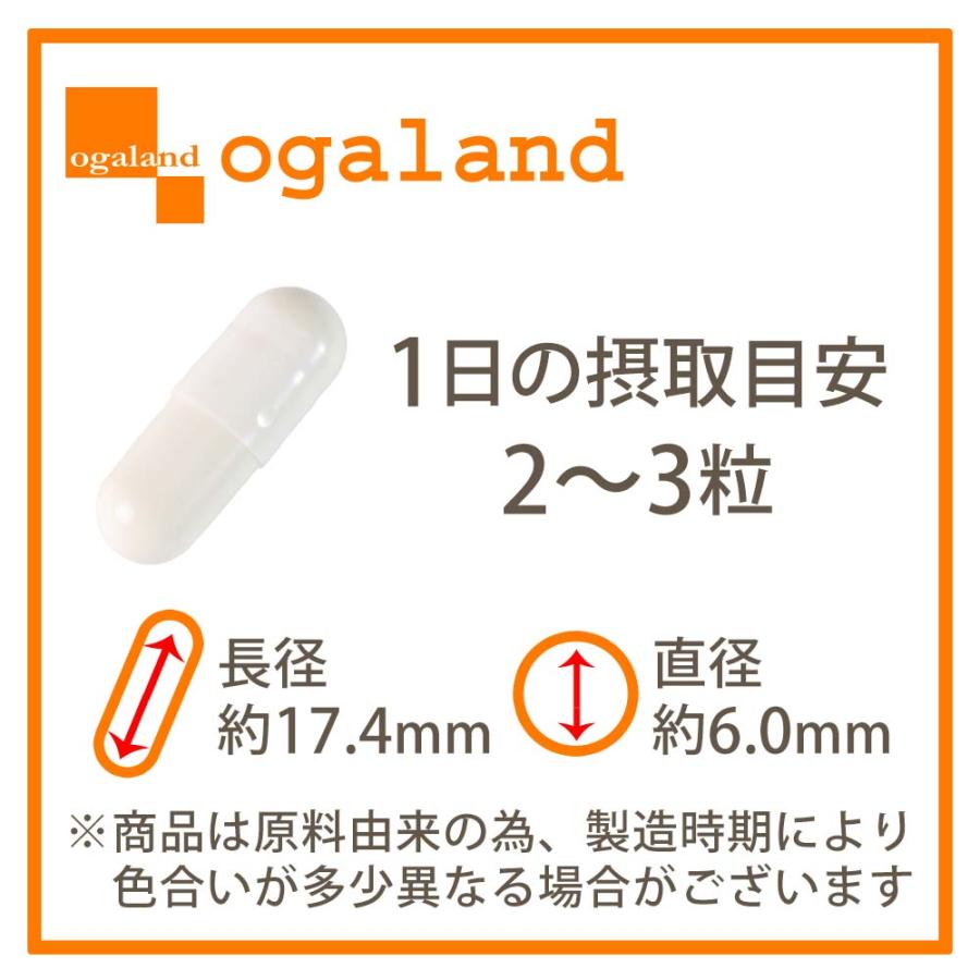 白玉姫 (約1ヶ月分) 白玉 システインペプチド サプリメント アミノ酸 グルタミン酸 グリシン 美容 健康 サプリ 錠剤 ポイント利用 グルタチオン（酵母由来） | ogaland | 18