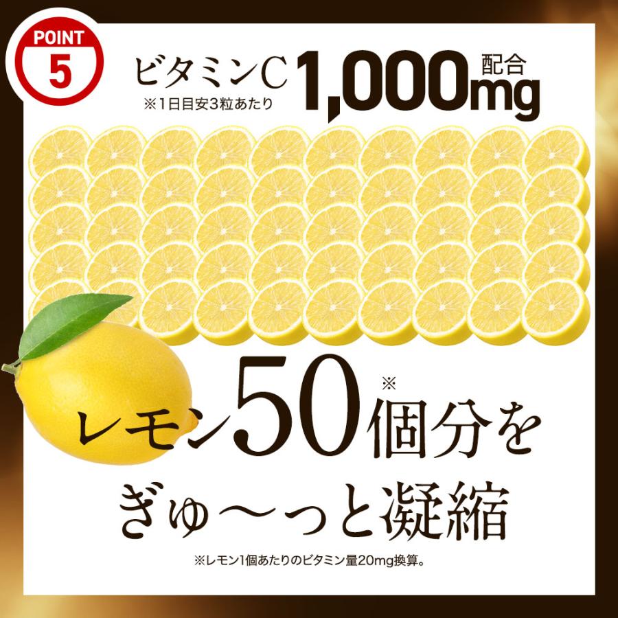 ogaland（オーガランド） SIX VITAMIN C（6個セット・約6ヶ月分