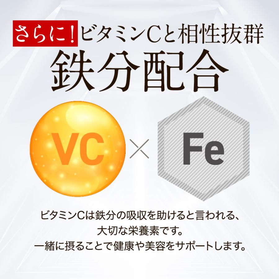 ogaland（オーガランド） SIX VITAMIN C（6個セット・約6ヶ月分