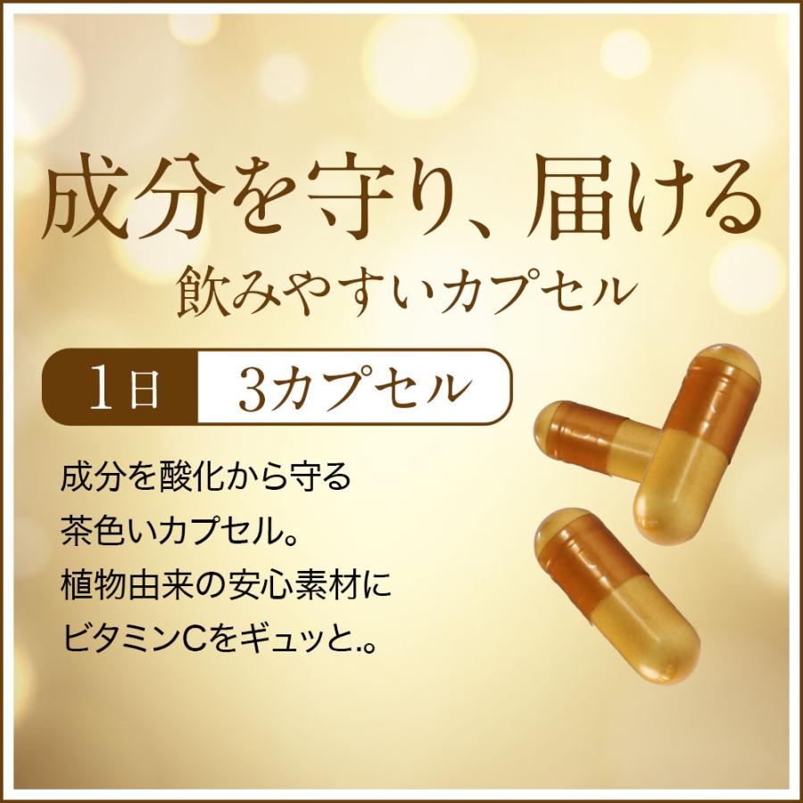 ogaland（オーガランド） SIX VITAMIN C（6個セット・約6ヶ月分
