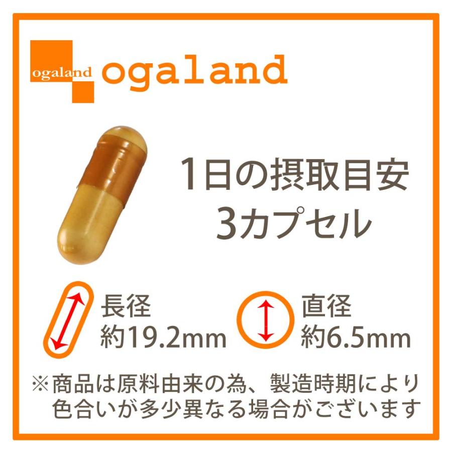 ogaland（オーガランド） SIX VITAMIN C（6個セット・約6ヶ月分