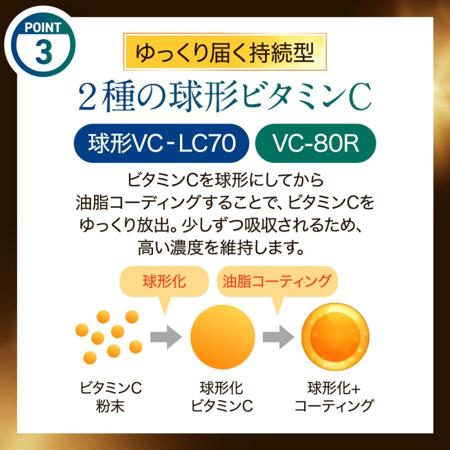 ogaland（オーガランド） SIX VITAMIN C（6個セット・約6ヶ月分
