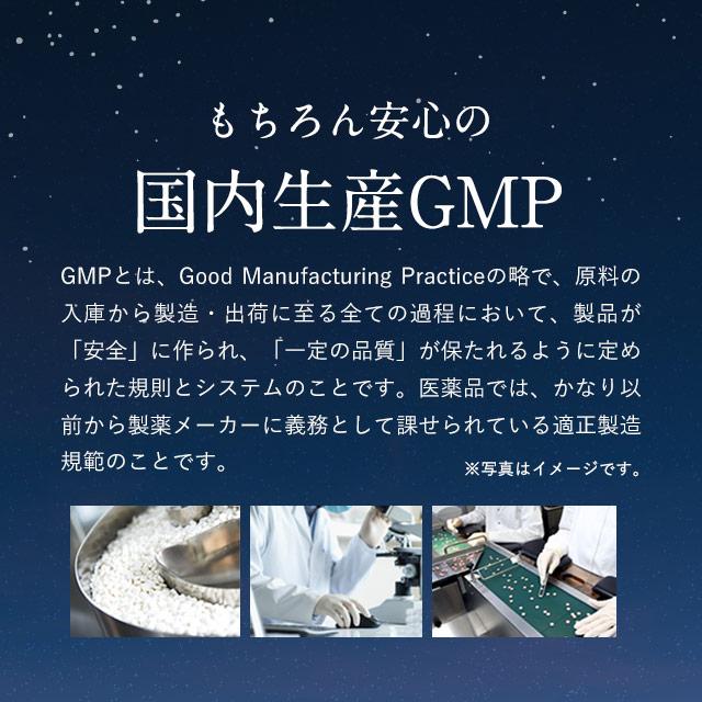 SWIMIN（約1ヶ月分）テアニン グリシン サプリ Lテアニン 200mg ローズマリー トリプトファン 夜間の健やかな眠りをサポートする 機能性表示食品 ポイント利用 | ogaland | 09