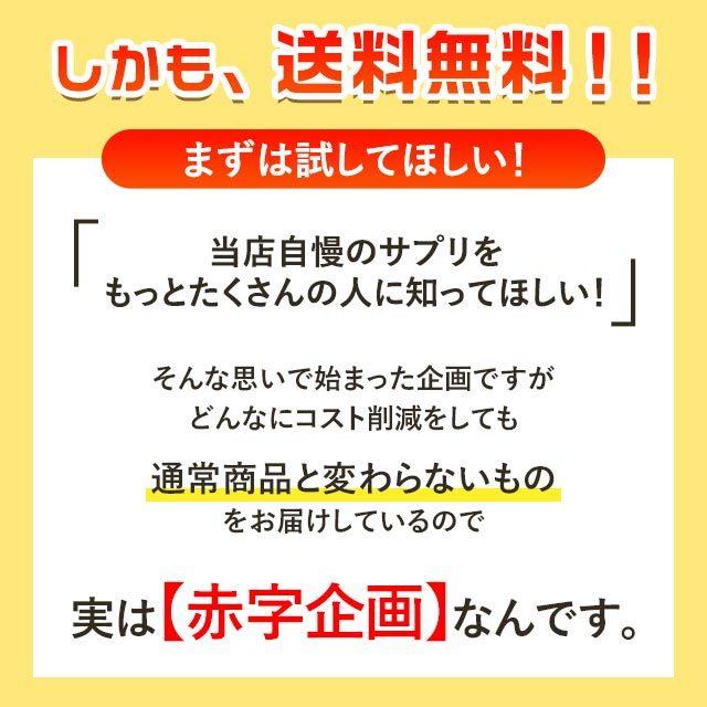 【初回限定】 オーガランド で初めてお買い物をする方限定 選べる 100円 サプリ たっぷり約1ヶ月分 サプリメント オメガ3 亜鉛 サラシア ローズ コエンザイム｜oga｜07