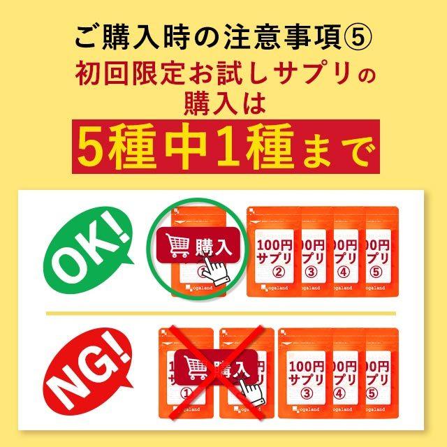 【初回限定】 オーガランド で初めてお買い物をする方限定 選べる 100円 サプリ たっぷり約1ヶ月分 サプリメント オメガ3 亜鉛 サラシア ローズ コエンザイム｜oga｜13