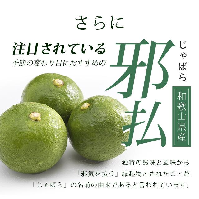 甜茶と邪払 （約3ヶ月分） サプリメント ポリフェノール サプリ ナリルチン 春が苦手な方に 健康 甜茶 ジャバラ 送料無料 ポイント利用 てんちゃ じゃばら | ogaland | 09