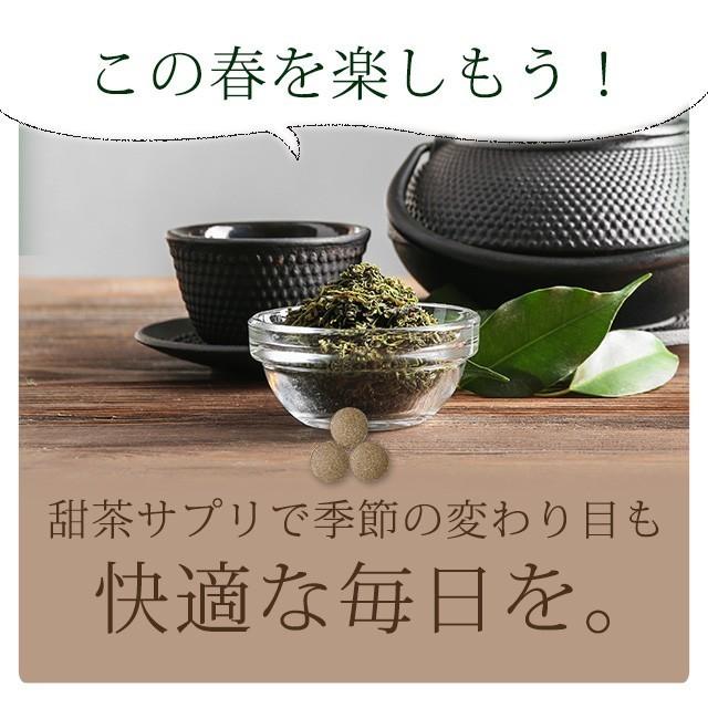 甜茶と邪払 （約6ヶ月分）サプリメント ポリフェノール ナリルチン 春が苦手な方に サプリ 健康 甜茶 ジャバラ 送料無料 ポイント利用 てんちゃ じゃばら | ogaland | 10