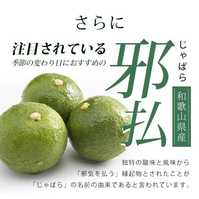 甜茶と邪払 （約6ヶ月分）サプリメント ポリフェノール ナリルチン 春が苦手な方に サプリ 健康 甜茶 ジャバラ 送料無料 ポイント利用 てんちゃ じゃばら | ogaland | 08