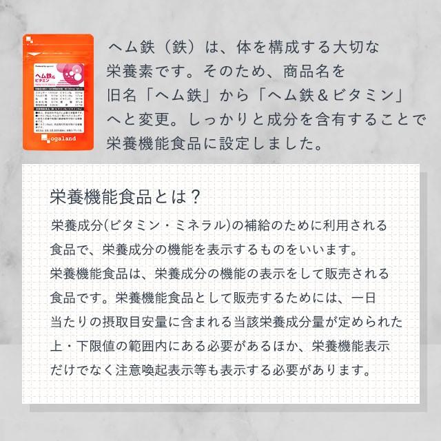 ヘム鉄 ＆ ビタミン （約1ヶ月分） 鉄分 サプリ サプリメント 鉄 ミネラル 葉酸 ビタミンC 必須栄養素 栄養機能食品 赤血球 皮膚 や 粘膜 の 健康 維持を助ける｜oga｜15