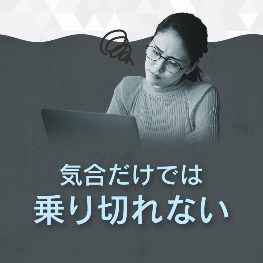 チロシン & GABA（約1ヶ月分） サプリ アミノ酸 サプリメント リフレッシュ メンタル やる気 集中 1日750mg ギャバ 30mg 試験の前に チロシン ポイント利用 | ogaland | 03