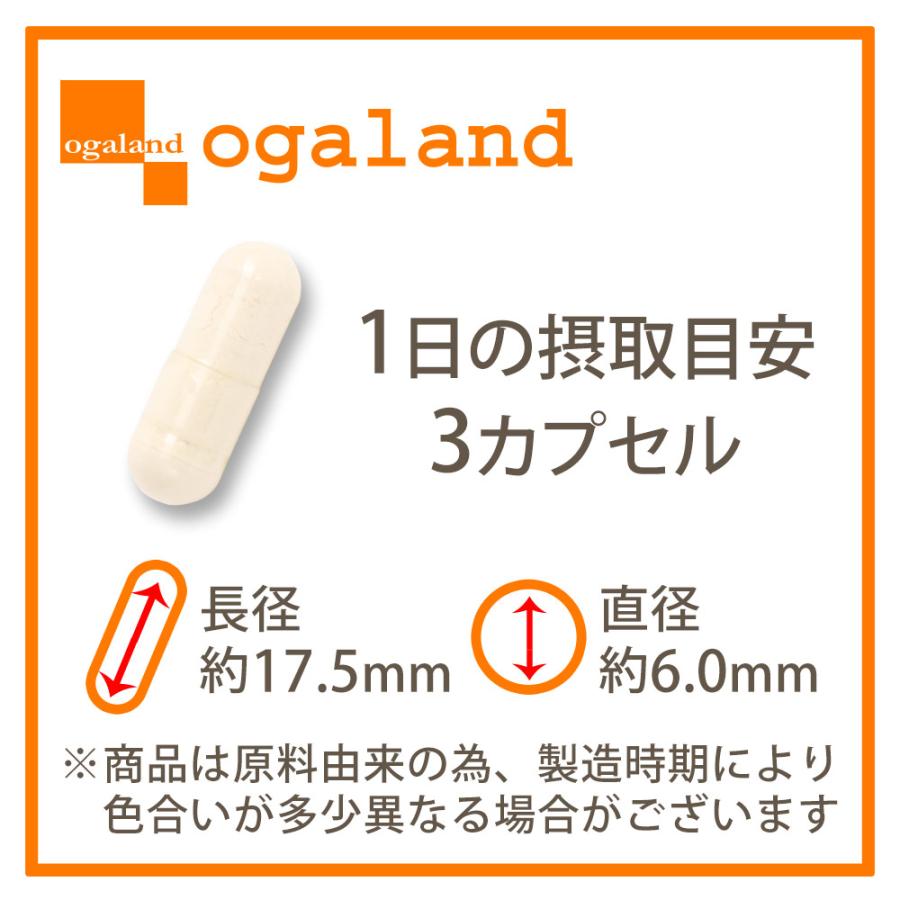momの葉酸 （約6ヶ月分） 葉酸 サプリ 妊婦 ニオイをおさえた 管理栄養士推奨 マグネシウム 鉄 カルシウム 亜鉛 ビタミンB ビタミンC D ポイント利用 | ogaland | 20