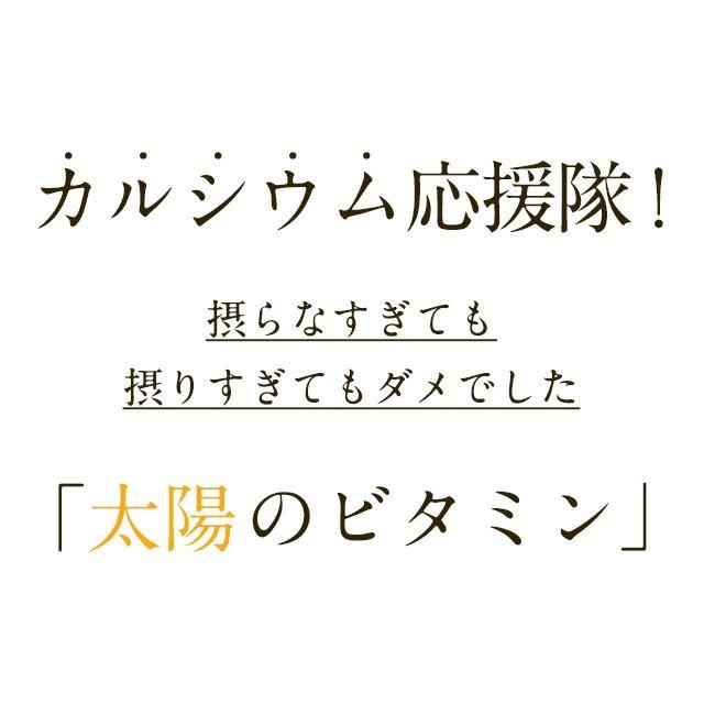ビタミンd サプリ サプリメント カルシウム 補助 中鎖脂肪酸 栄養機能食品 約1年分 オーガランド Paypayモール店 通販 Paypayモール