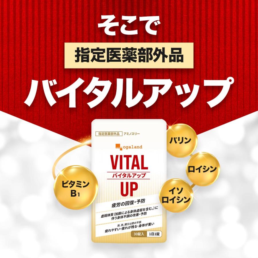 バイタルアップ （90錠）  賞味期限2025年5月末まで 疲労回復 虚弱体質 首 肩 腰 身体不調の改善 疲れ が残る 二日酔い 仕事 や 家事 でお疲れの方に 医薬部外品｜oga｜12