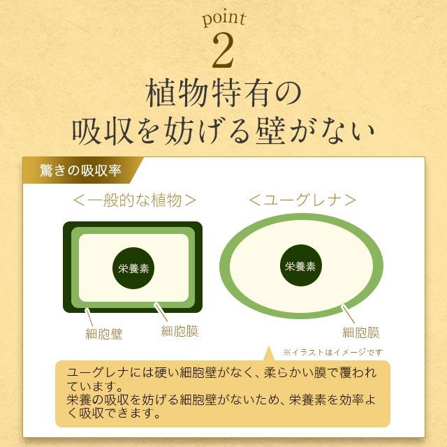 ホワイトユーグレナ （約3ヶ月分 ）サプリ サプリメント ミドリムシ 食物繊維 ユーグレナ パラミロン 健康 美容 食物繊維 野菜 不足 元気 ビタミン ポイント利用 | ogaland | 11