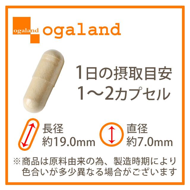 ホワイトユーグレナ （約3ヶ月分 ）サプリ サプリメント ミドリムシ 食物繊維 ユーグレナ パラミロン 健康 美容 食物繊維 野菜 不足 元気 ビタミン ポイント利用 | ogaland | 17