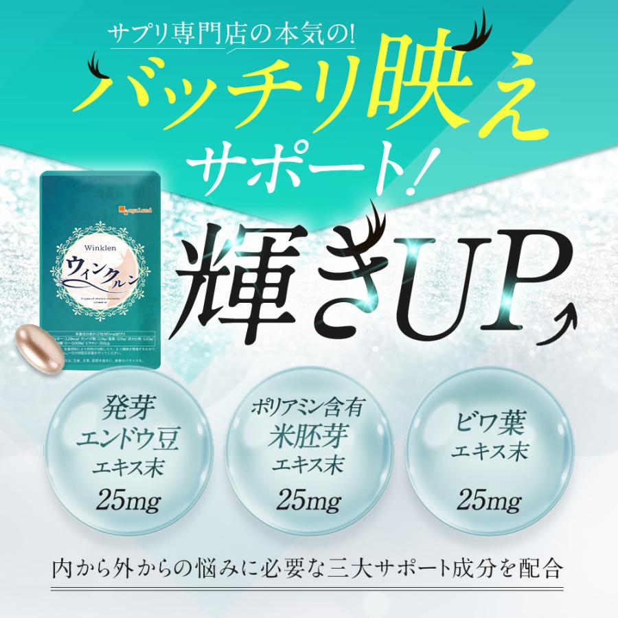 ヴィーゼル ダイエットサプリ3ヶ月分12袋