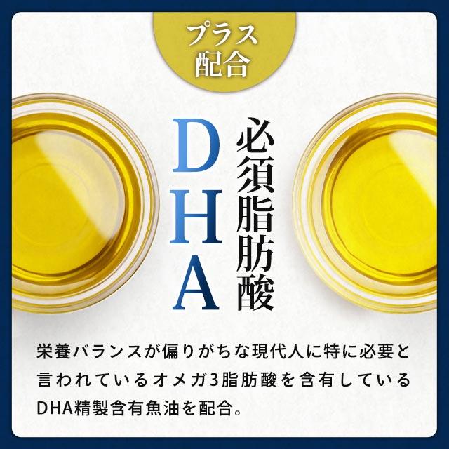 ヤツメウナギ （約1ヶ月分） サプリ サプリメント ビタミンA DHA 夜の運転が不安な方へ デスクワークが多い方に クコの実 PC スマホ ポイント利用 | ogaland | 10