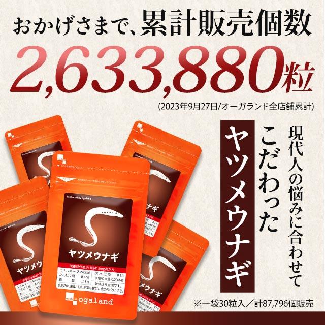 ヤツメウナギ （約1ヶ月分） サプリ サプリメント ビタミンA DHA 夜の運転が不安な方へ デスクワークが多い方に クコの実 PC スマホ ポイント利用 | ogaland | 11